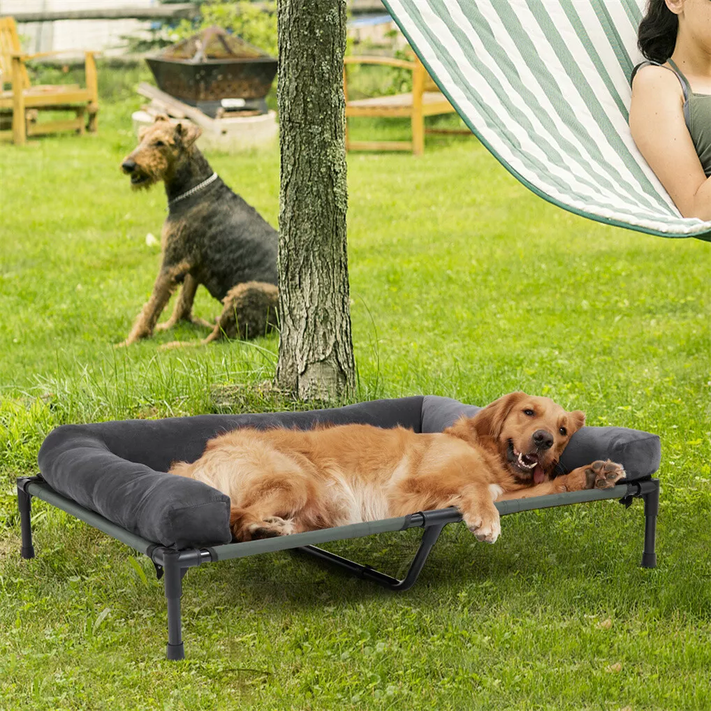 빙고파우(BINGOPAW) 고급형 강아지 침대, 분리  - Outdoor Camping Dog Bed 리뷰 및 가격